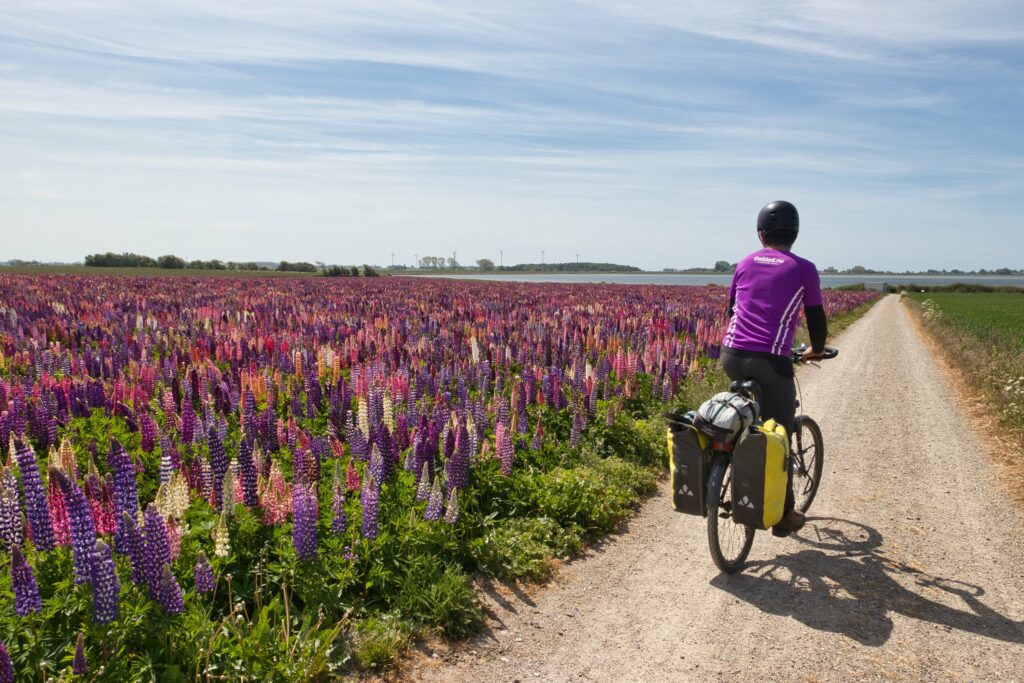 L’Eurovelo 10 au Danemark : le récit de notre voyage à vélo au bord de la mer Baltique