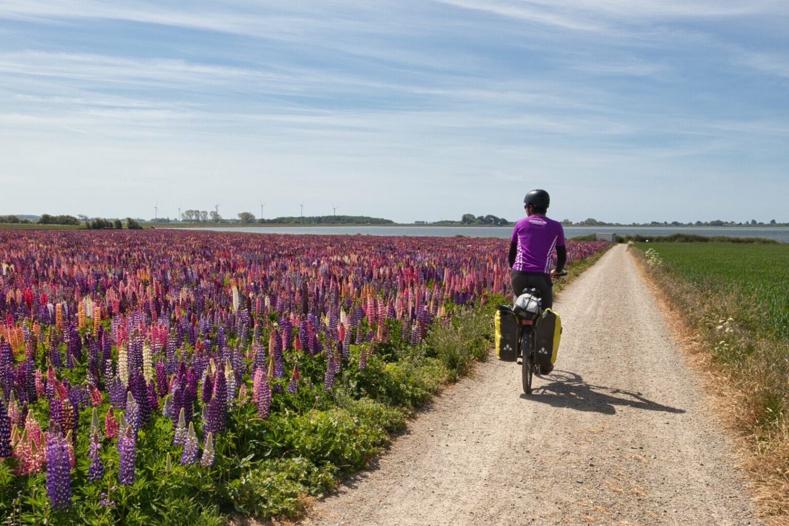 Le Danemark à vélo Guide complet L'Empreinte Baroudeuse