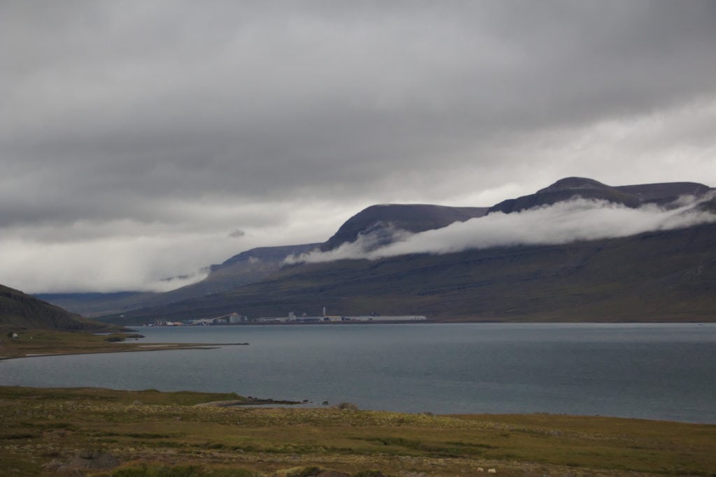Paysage des fjords de l'Est