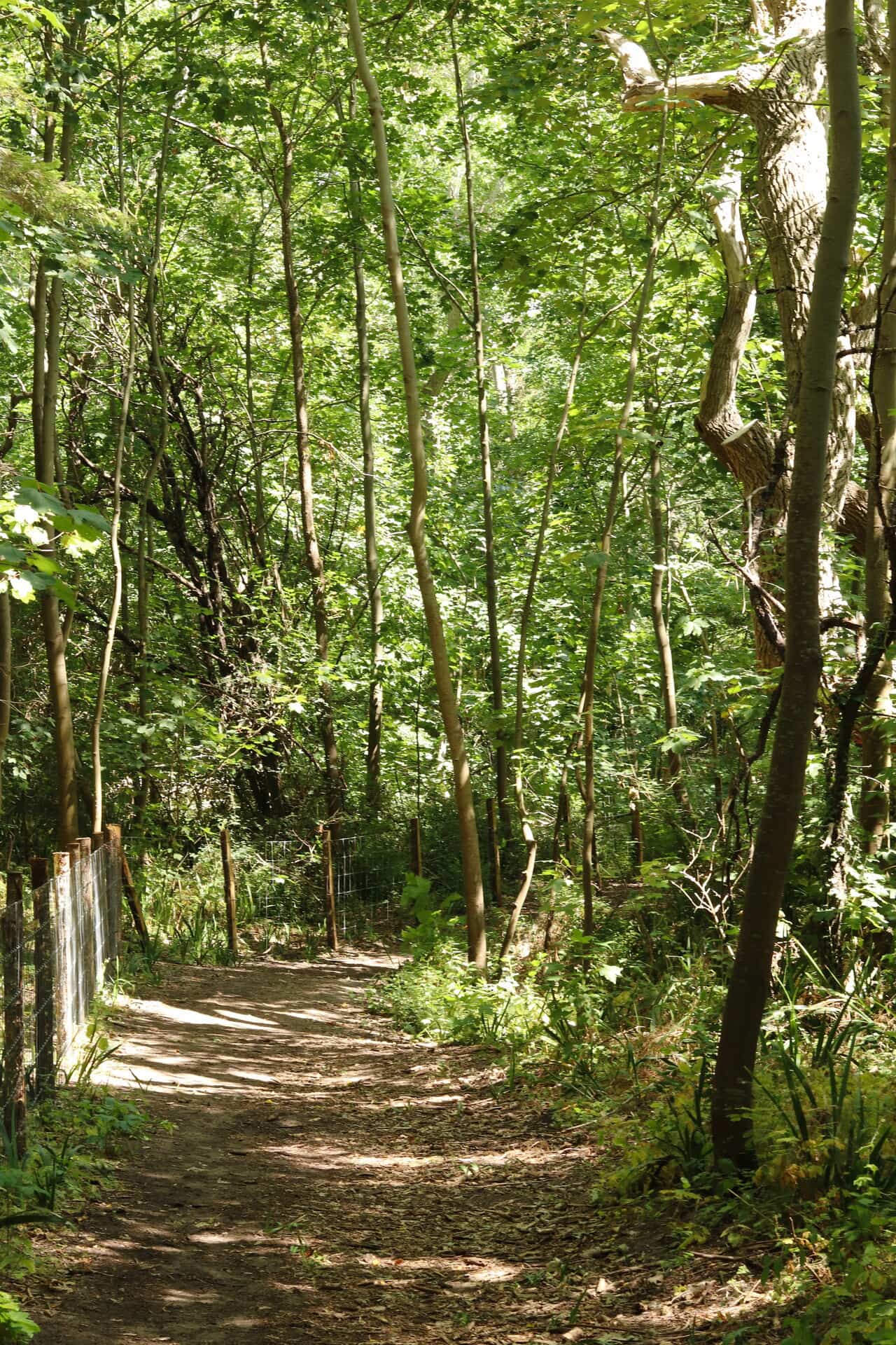 Bercksurmer et la baie d'Authie en 3 belles découvertes