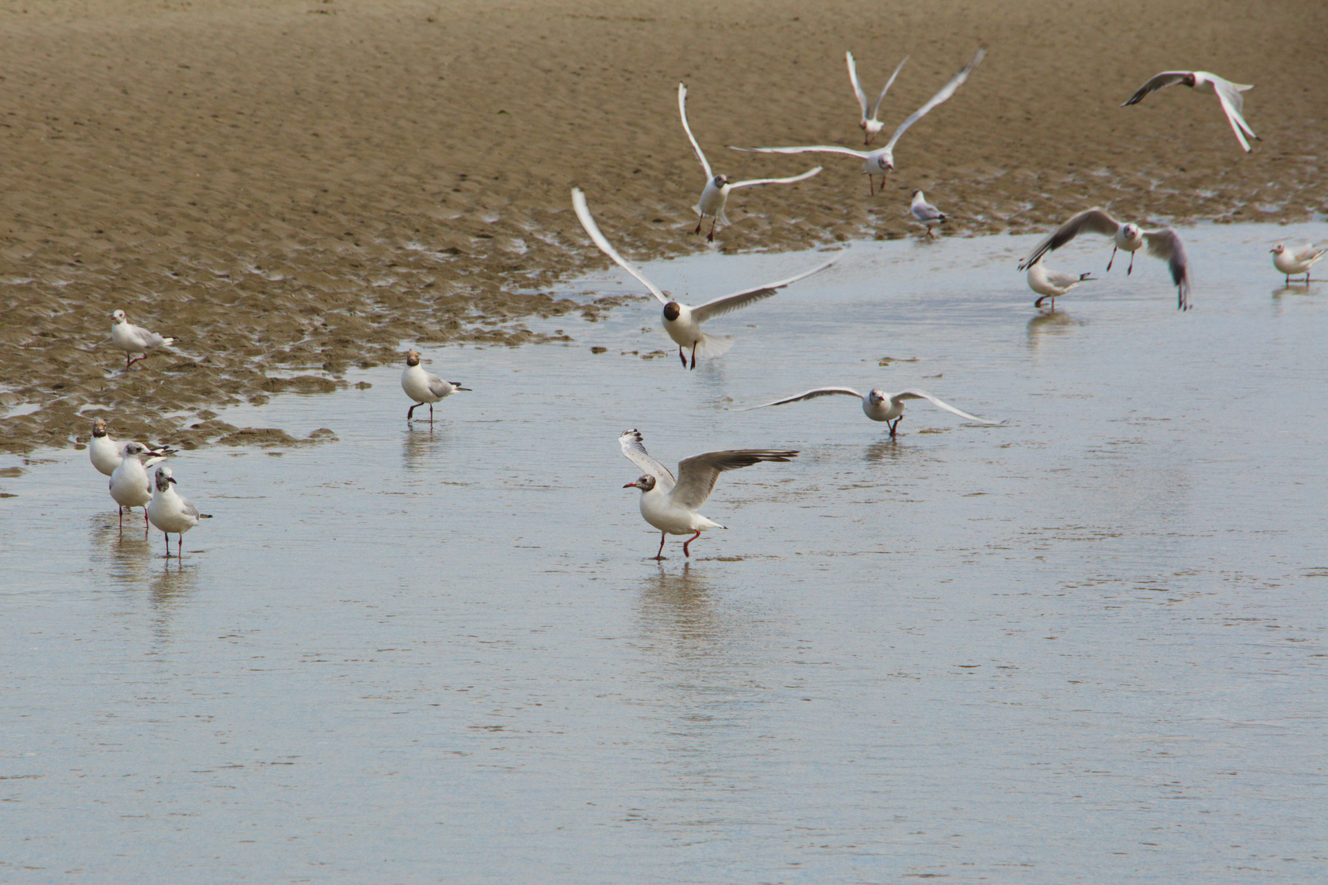 Berck Sur Mer Et La Baie Dauthie En 3 Belles Découvertes