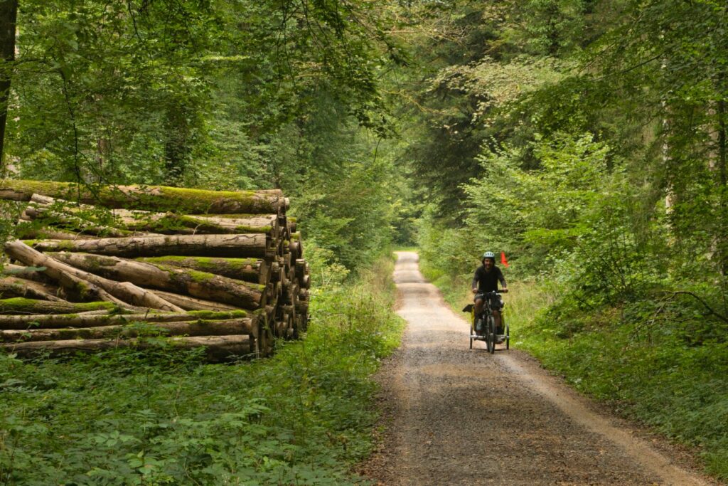Cyclovoyageur dans la forêt sur l'Eurovelo 6 en Suisse