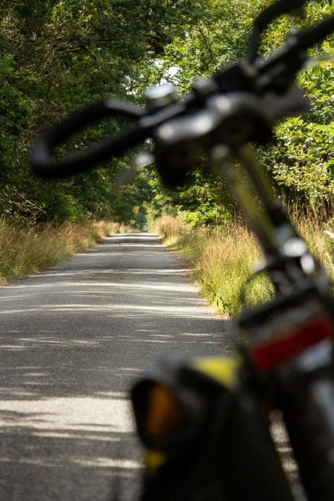 Une piste cyclable dans la forêt de Rambouillet