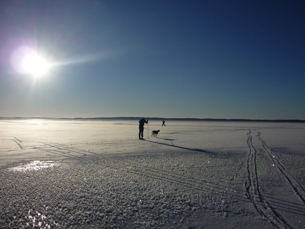 Le mode de vie scandinave, c'est aussi promener son chien en ski de fond sur un lac gelé
