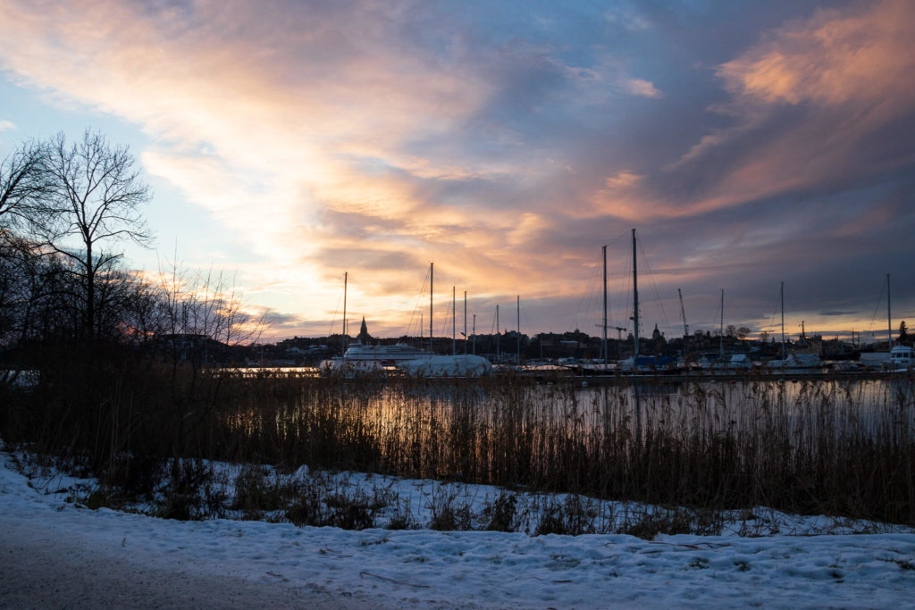 La jolie lumière rasante de l'hiver suédois