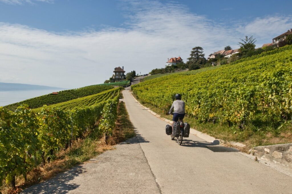 Voyage à vélo sur l'Eurovelo 17 dans les vignobles du Lavaux