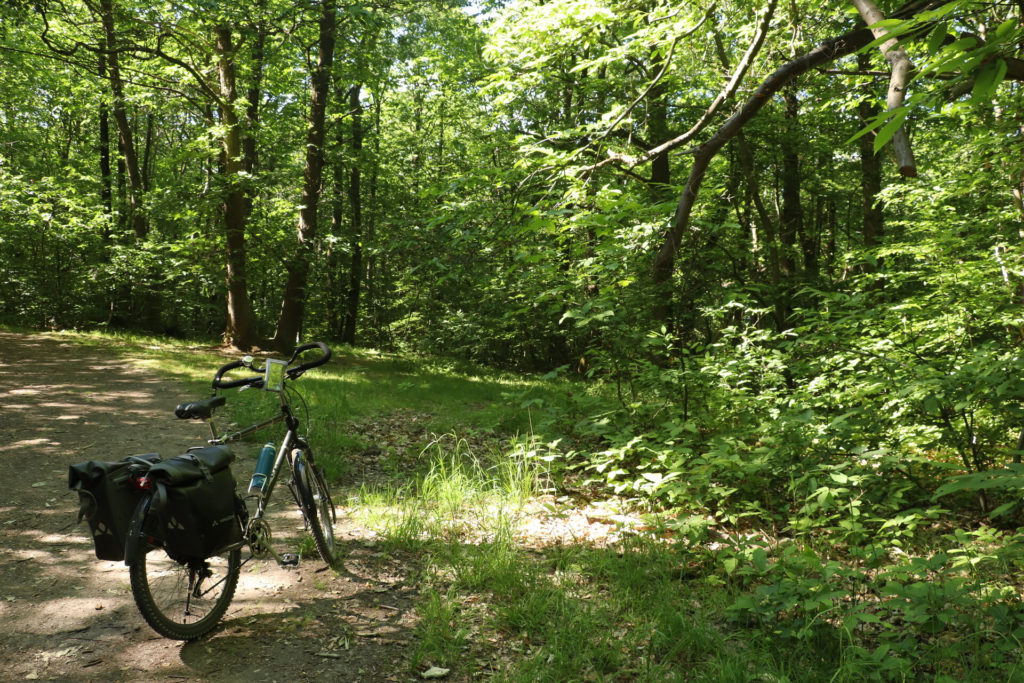 A vélo dans la forêt de Meudon