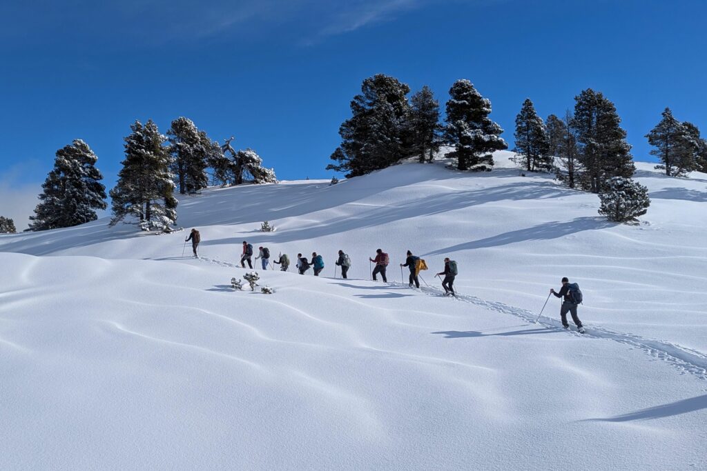 Week-end en raquettes dans le Vercors : mon expérience avec Grand Angle