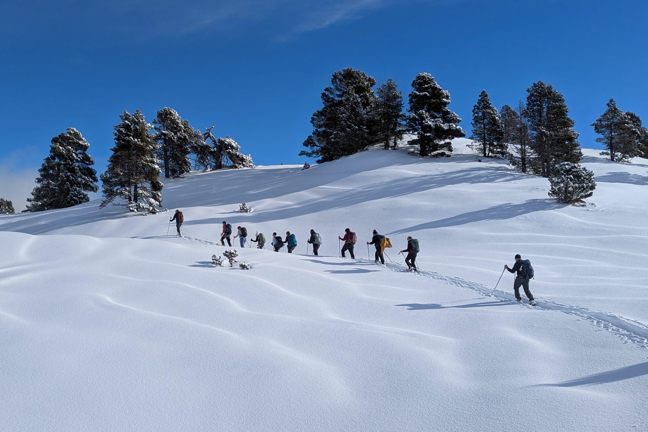 Randonneurs avec un guide dans le Vercors